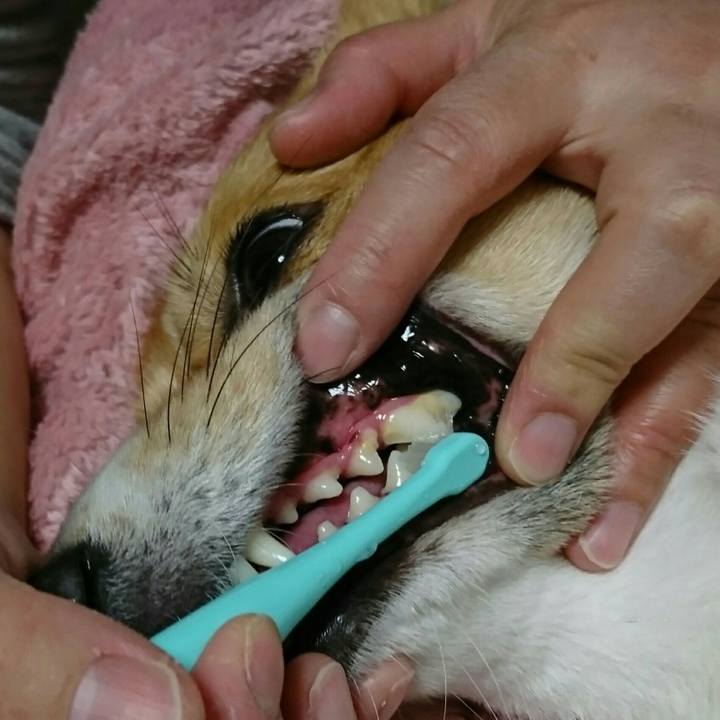 82dc2162 ac5b 4819 8636 1b5d2e3daa16