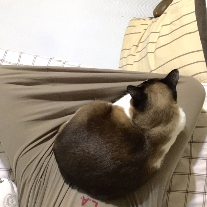 82dc2ef0 eb9c 4879 8083 5c2e16369056