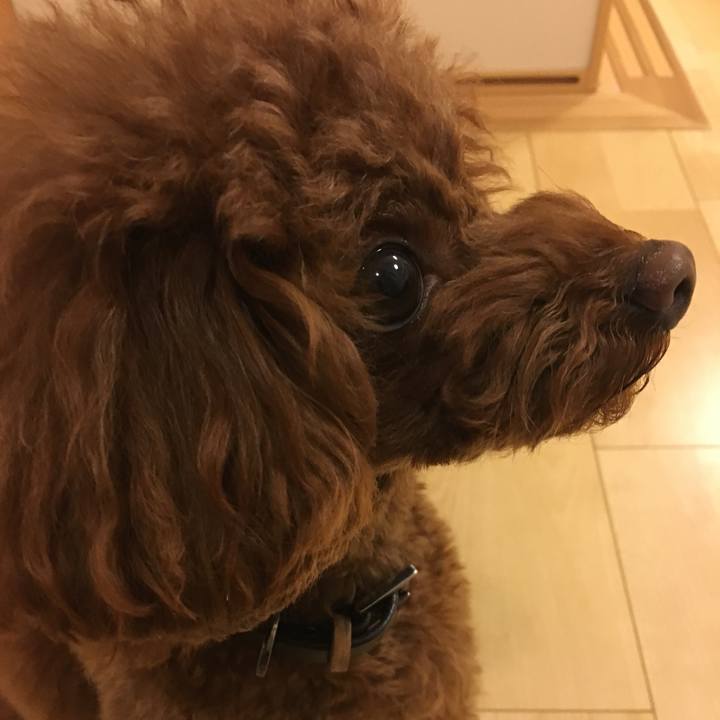 82dcac96 1404 4c8b aa54 75ac48f3ad8a