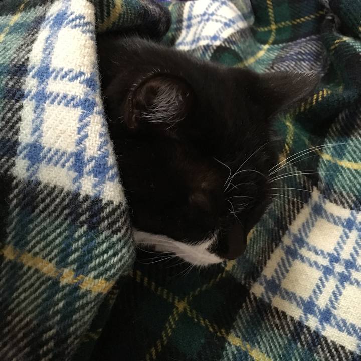 82dd064a b225 4cfd a460 1d39f702d357