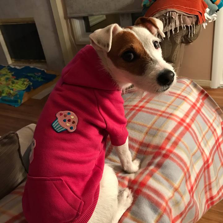 82dd8239 37f9 4265 8e9e a555c0409570