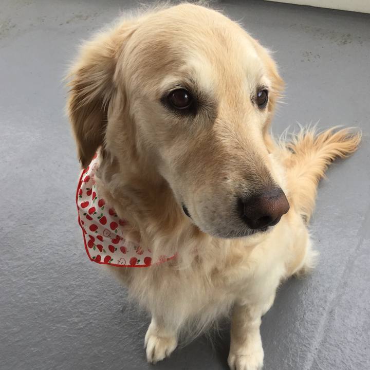 82dd9384 3d79 4ccb a8f0 579ccbcc98c0