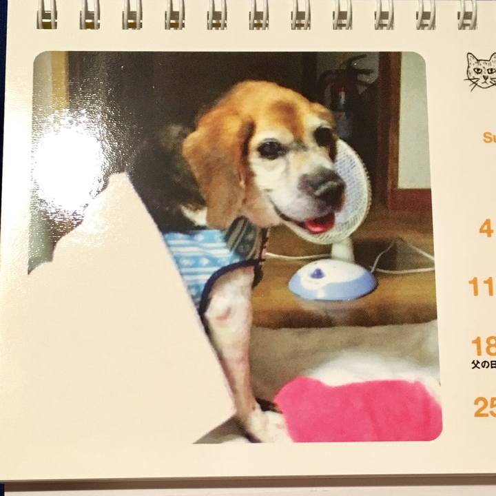 82dd93b8 a568 4953 954f dc765f9c09f5