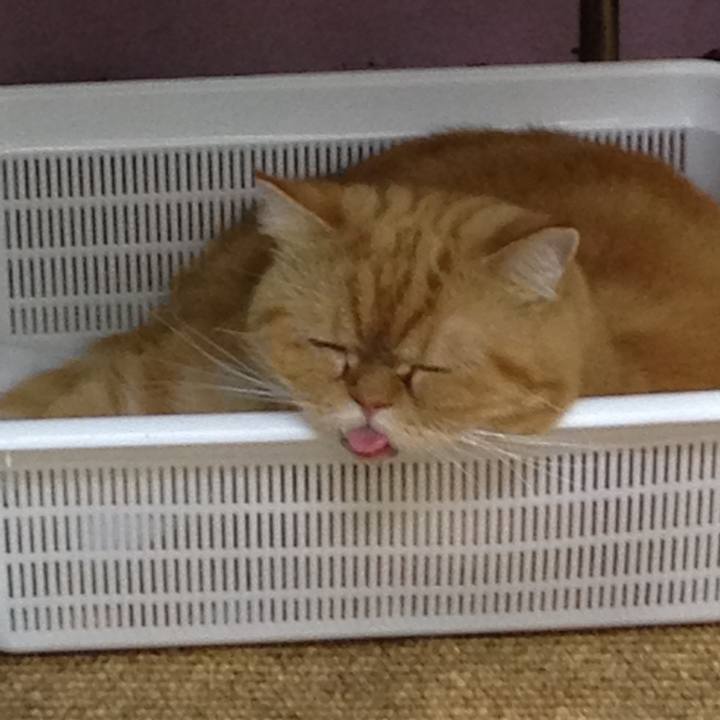 82dea1b2 651d 47fb a8cb db292a476652