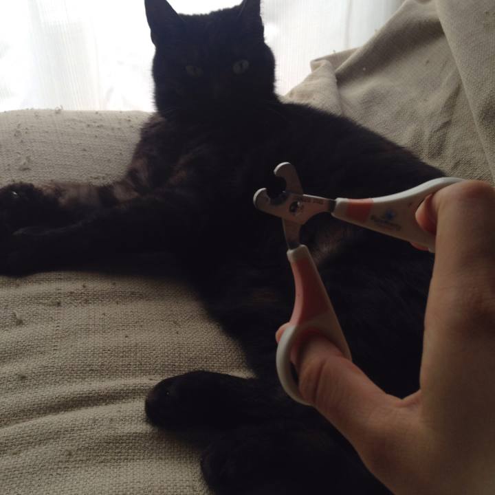 82deeca0 dd40 4e70 afef 18a2df520492