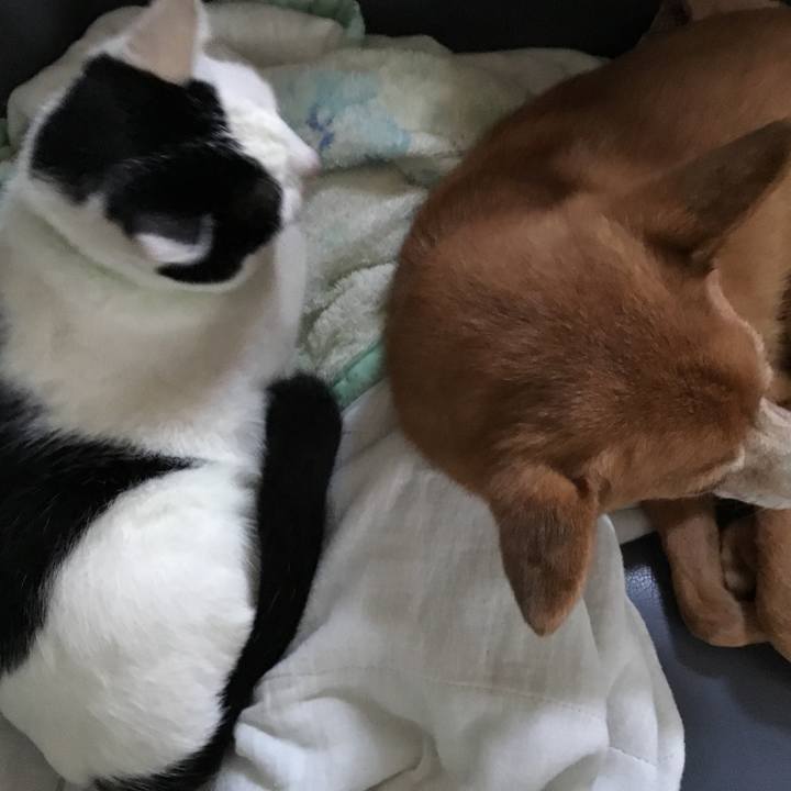 82e000b6 0b0e 4607 af40 36537c0a5cf0