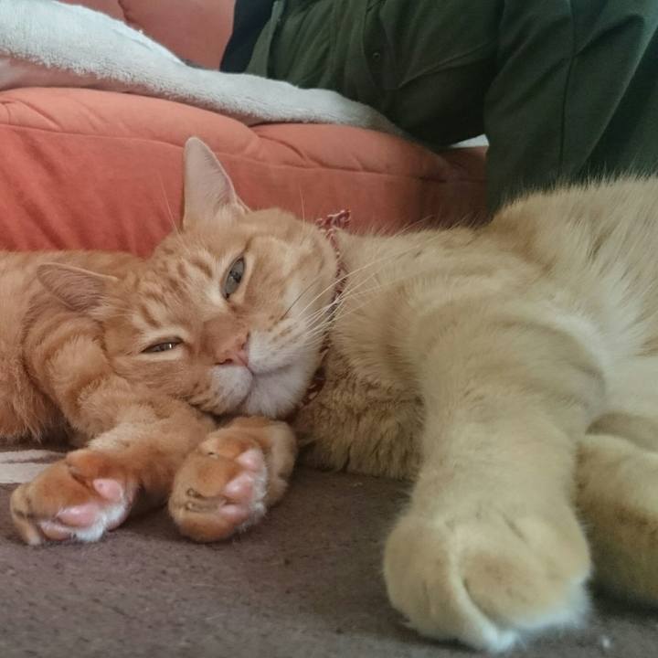 82e0ab58 a542 448c 8f4c ef45952bc8e5