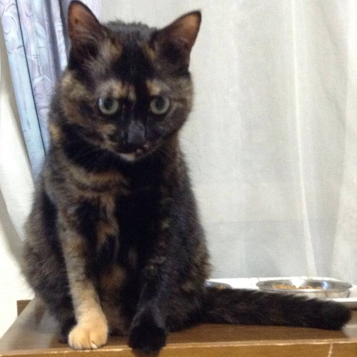 82e0ce10 76c5 4e98 bf8a ce4723d204ed