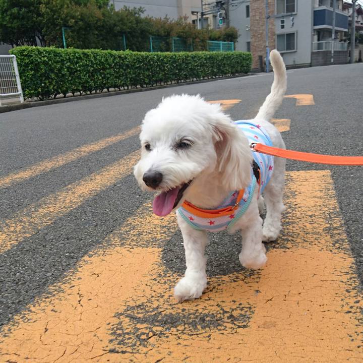 82e1013e a78f 46a6 a757 4d9c2e8dcaf3