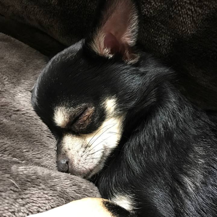 82e17940 9074 4471 a3ae f4baf5284469