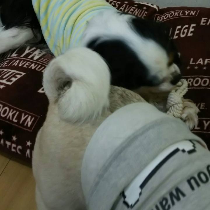 82e33fdd 8fc4 4a37 9385 7c80a5aba4ba