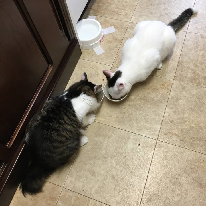 82e36aab b08d 4058 85b9 a0312617bf10