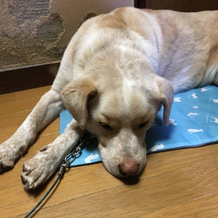 82e37045 cbcf 4195 8697 d7ce55414280