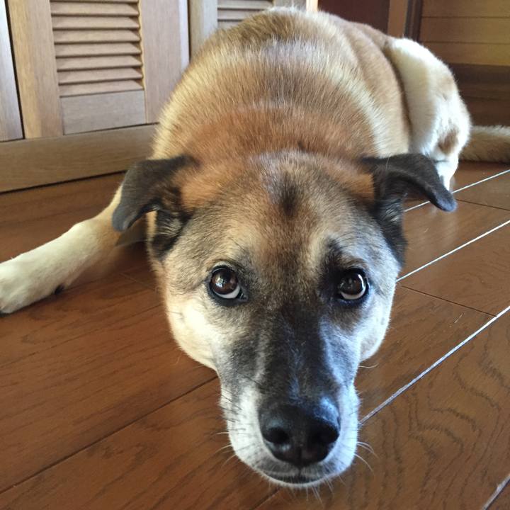 82e409f7 a16d 4af7 a5de 03ce0339b90b