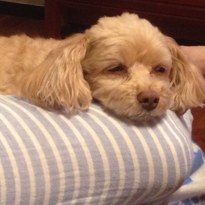 82e4ae39 ddaa 4d8f 941f 2e8d4e2a049f