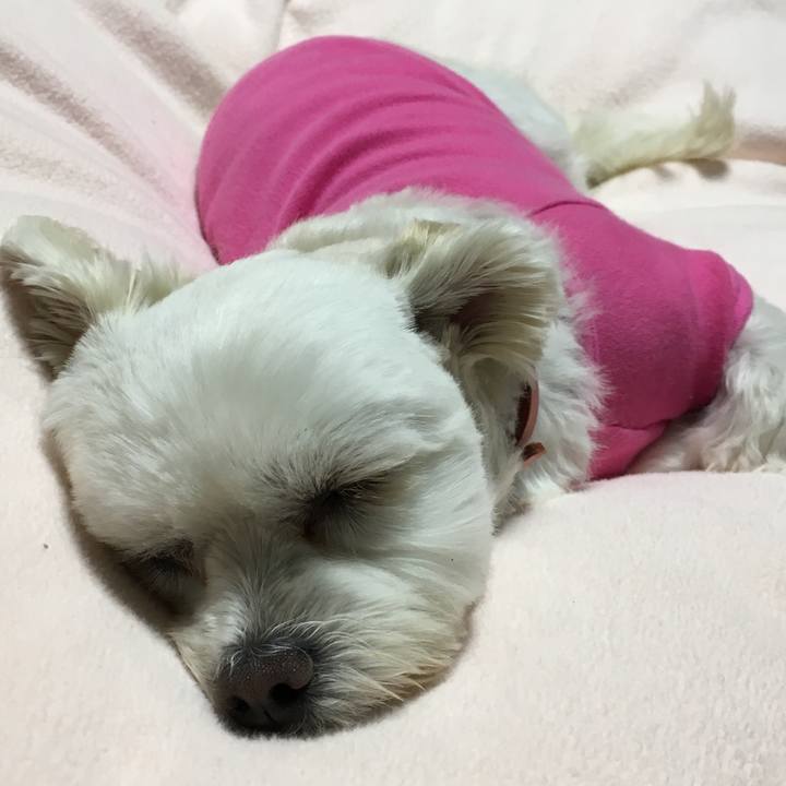 82e592be f22c 4282 a3b6 0dcbe83f7912