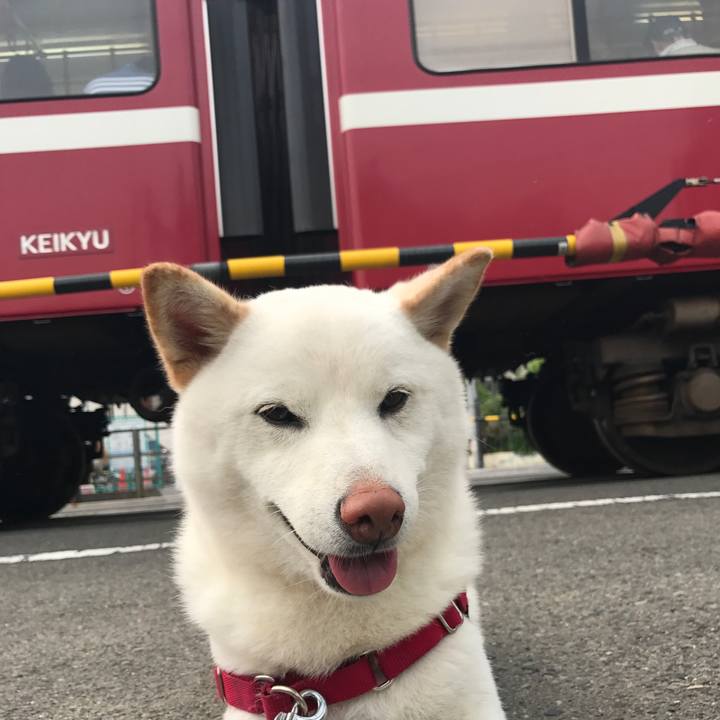 82e5cffe d61b 4423 bd49 0a976e2e99c8