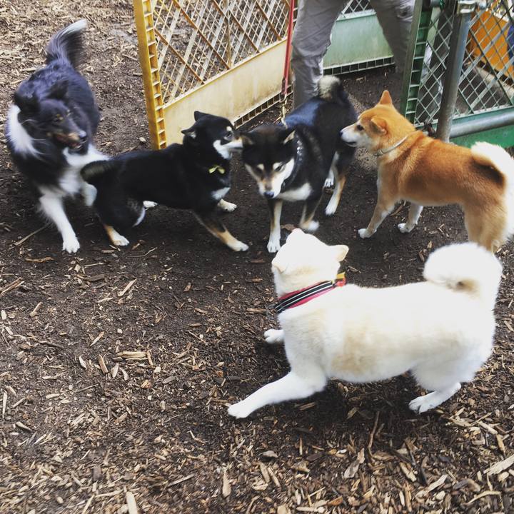 82e6c905 44d9 4149 9ca7 ec8cf656a94c