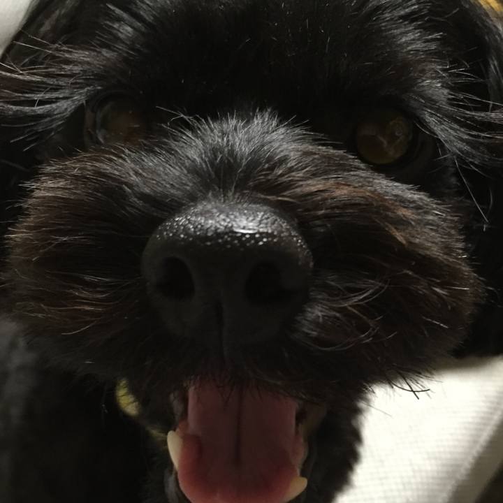 82e859ac 8312 482f 9f40 fba57c17a255