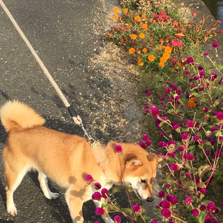 82e8c8c9 d812 4908 a5b6 9140e0a87b0d