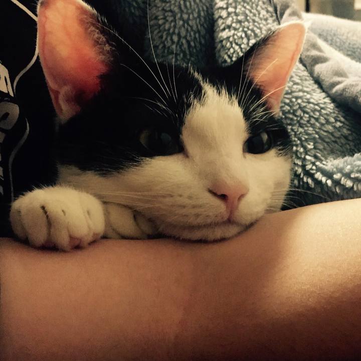 82e90755 690d 4e17 bf08 c96992256f77