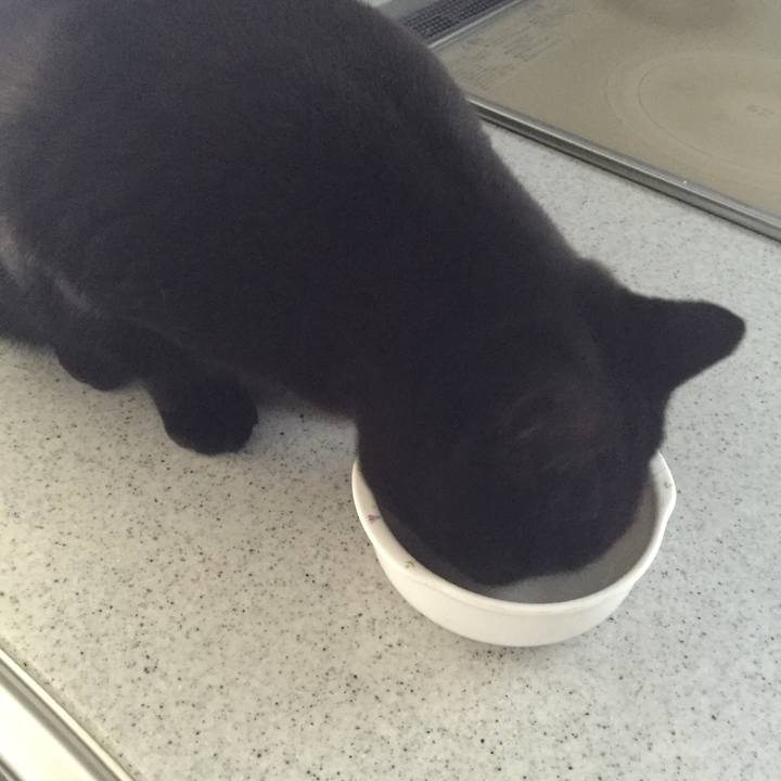 82ea04f8 71c1 4a8e 8af2 74a2b38c4af7