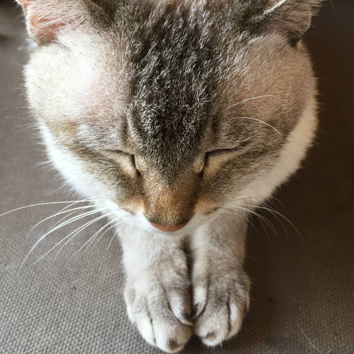 82ea75f7 fa04 4b5f a537 8cdaab81a548