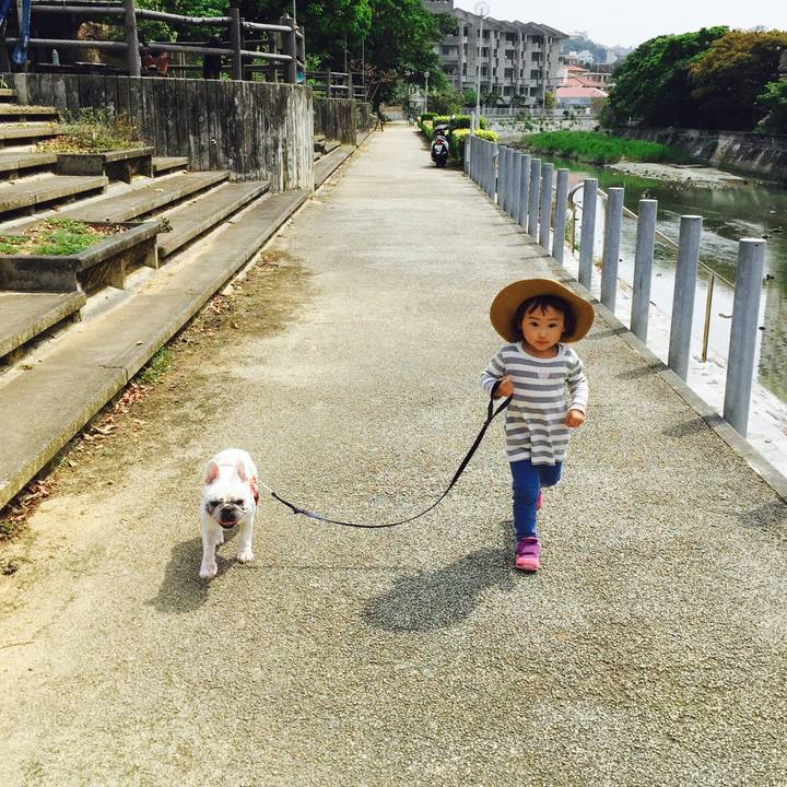 82ead3ad 8e44 4c26 bf94 c0a6b4b82f38