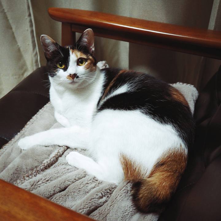 82eb4d0d 9ce7 471a b312 a87ae99de29f