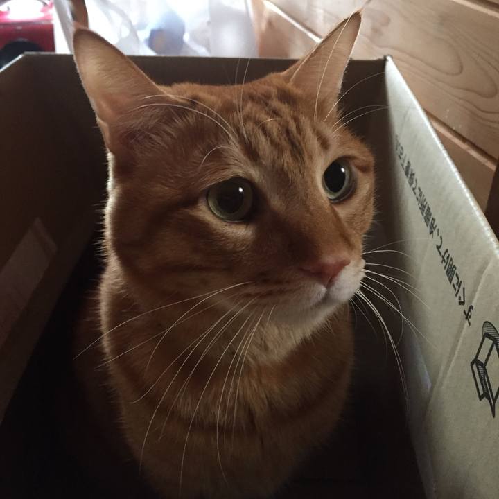 82eb9b69 45aa 4df2 8daf b108e4ab4527