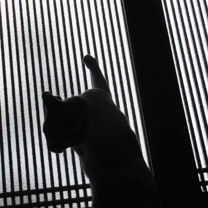 82eba6de 8f71 4043 b753 adc924652208