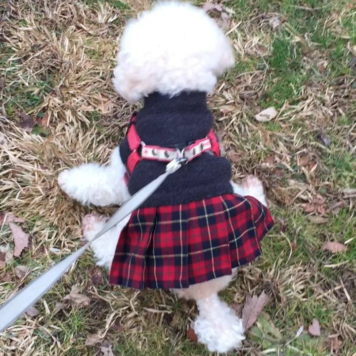 82ebf401 164a 40cf b549 799640813557