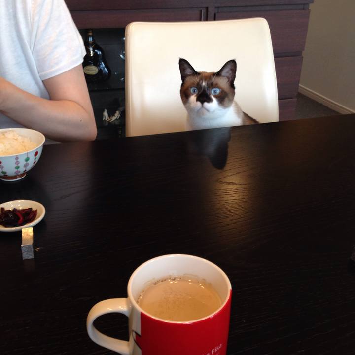 82ec1007 9035 44bf bc3f a17050f5f498