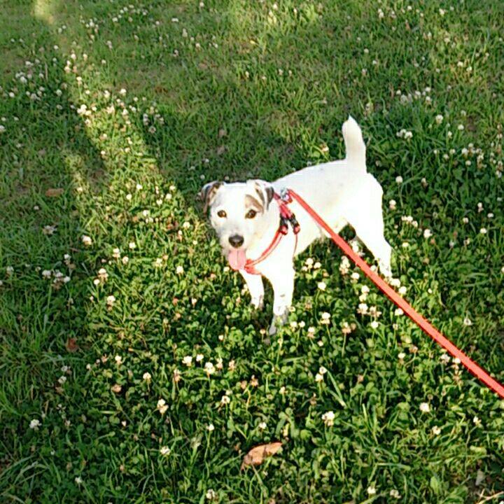 82ec1f40 0157 44ef 843d 9fb2d6d0dcfb