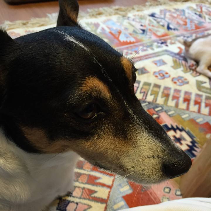 82ec600f 8eb9 4810 b5ec 920d71deea8d