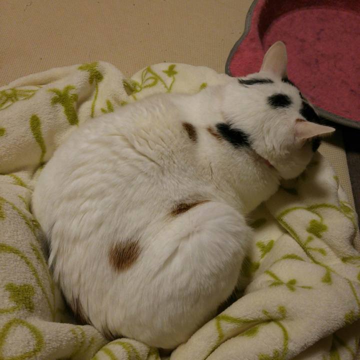 82ed499d 200a 4ea8 a6c9 cf7d646645d7