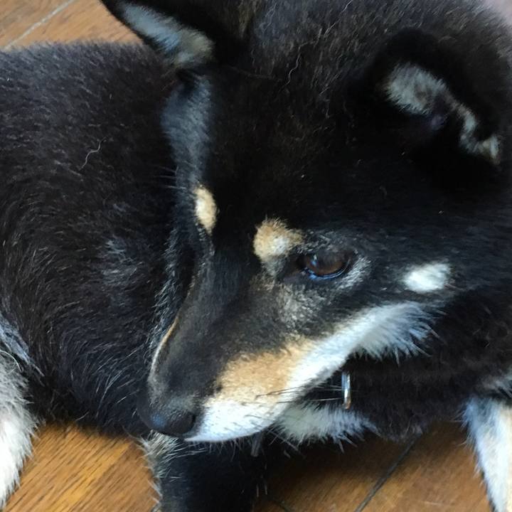 82ee0a1e fc9b 4c6e 9837 ab5a968f76c8