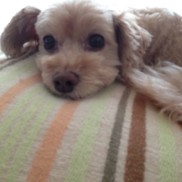 82ee4d63 c090 437d bea9 40f1fb36776b