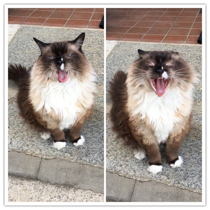 82ee62b6 3c14 4bd9 894e 8fd4e84f259d