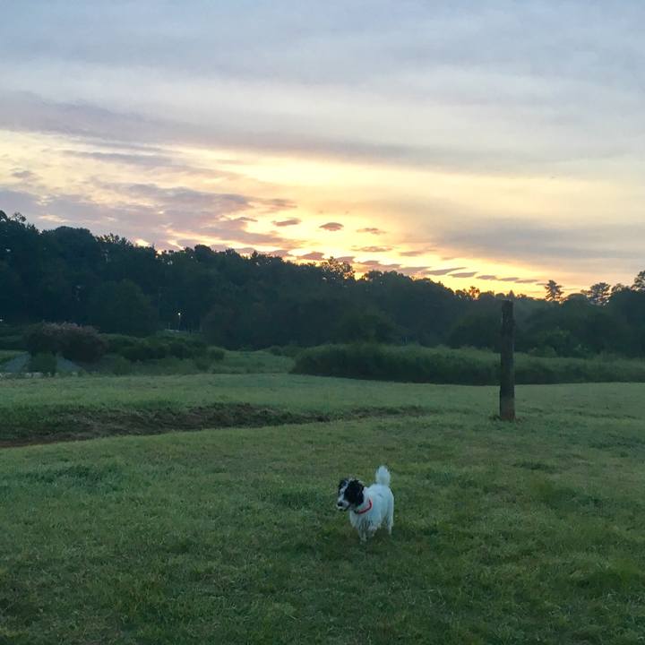 82ee89d5 5fc6 40ab b119 b4c294b4b7e4