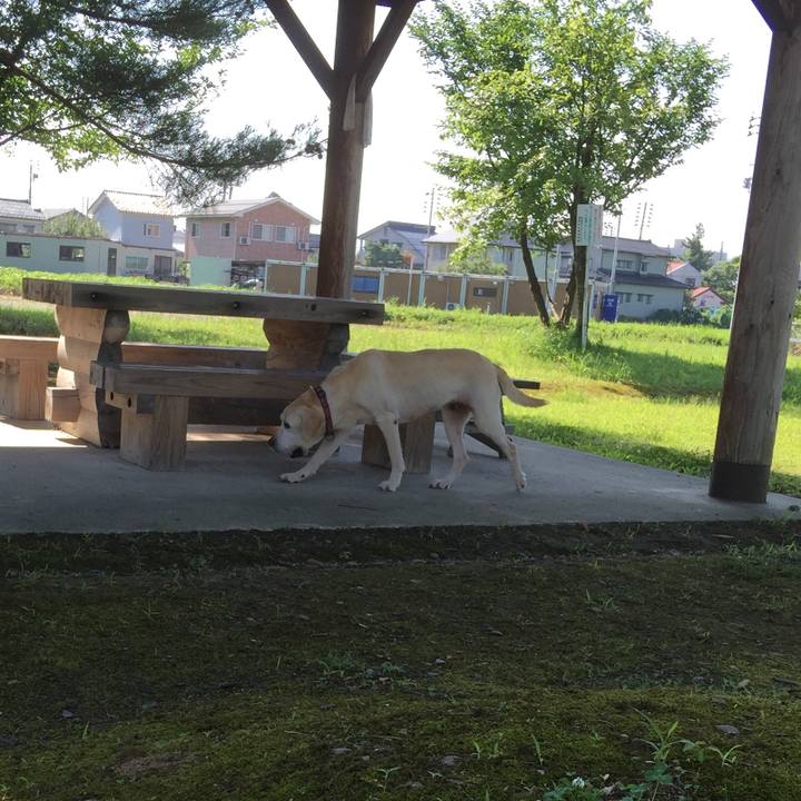 82ee8c7f 4f05 4458 876d a645d2921d3f