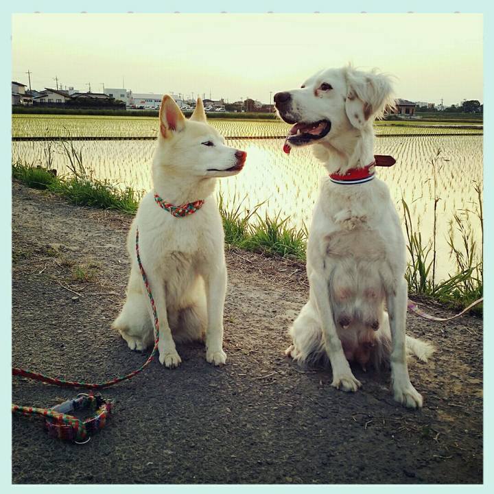 82eec46f a233 4b18 8e04 74b8109f639c