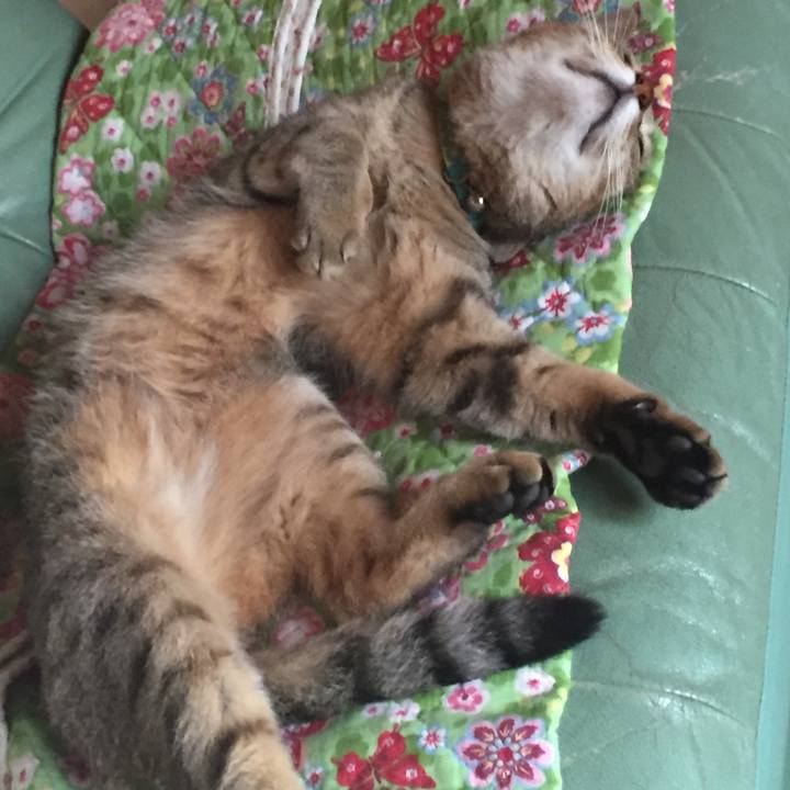 82f019e0 d1f1 4a8f 807a a666fa42a967