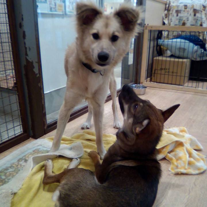 82f0612f 33a3 47e6 9760 e7044b3bf207