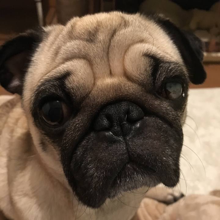 82f07dbe 412c 4060 acfa f1688a07ca99