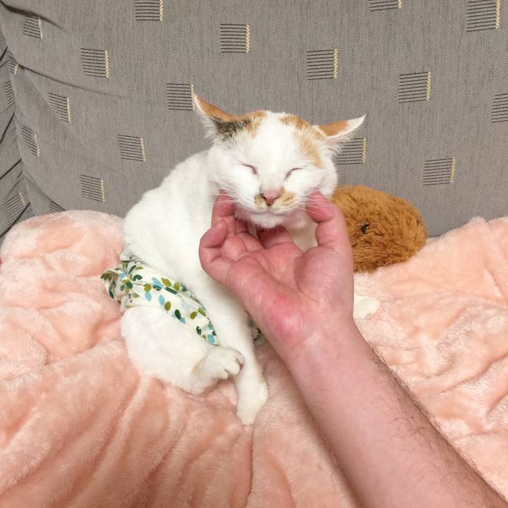 82f12fd1 0a41 4378 aae3 c8cf38d269bf