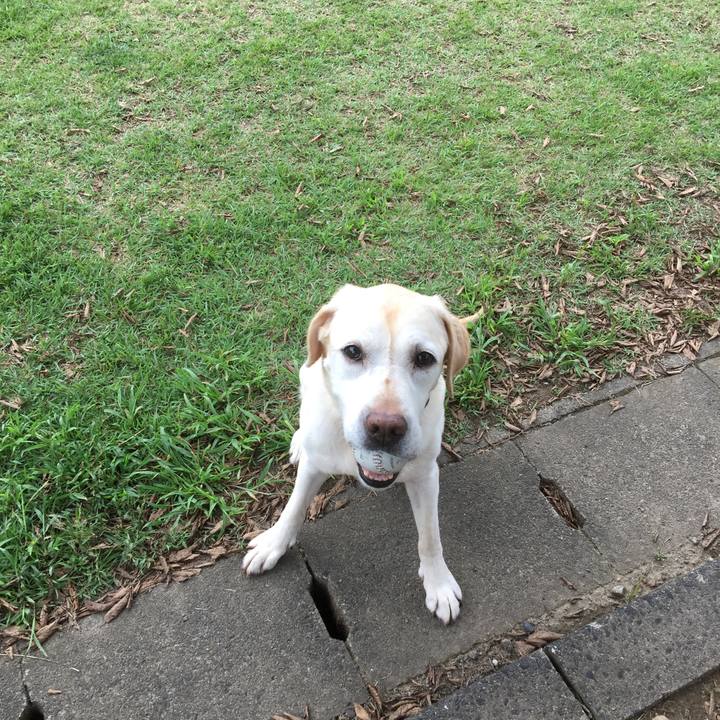 82f1f1c7 65c5 48cf afc2 be70aee6c530