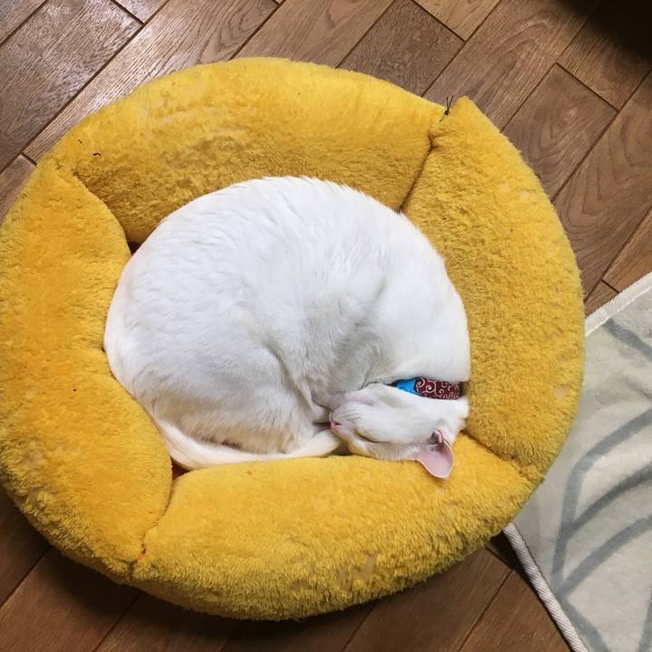 82f214cb 80db 46bb b4e0 12c69066ba95