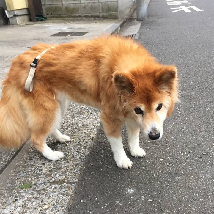 82f2abec bb80 455c ae31 cd79c306305b