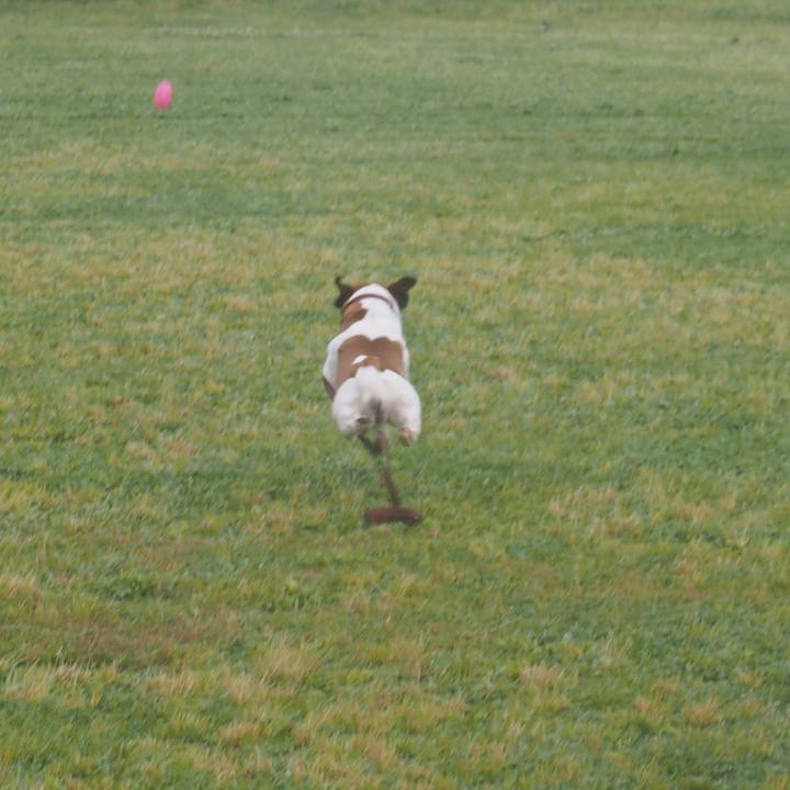 82f31aa6 fac0 4382 959e 95d00e4a6f37